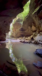 6.4K views · 156 reactions | Conkles Hollow’s Gorge Trail is a stunner year round. ❤️ Hocking Hills | Ohio Hikes and Sights | Facebook