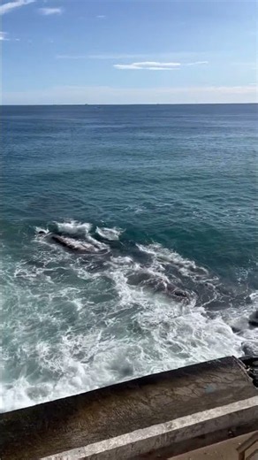 🌊 Kreuzfahrt nach Genua – Ankunft in einer der ältesten Städte Europas #shorts