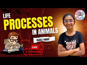 Life Processes in Animals Explained | Class 7 Science Ch 9-1