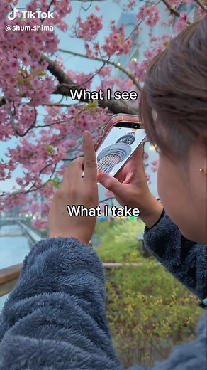 Experiencing Cherry Blossoms at Tokyo Sky Tree