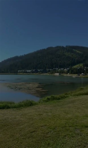 Millionaire Takes His Lamborghini for a Spin! 😎🚗
