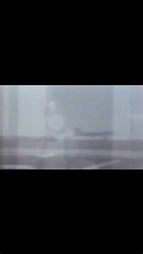 9.5K views · 369 reactions | 80 years ago today, Robert “Rosie”...