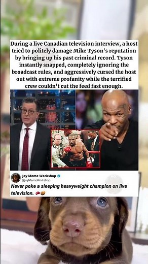 Mike Tyson DESTROYS TV Anchor Live 🤯 #memes #movies #funny