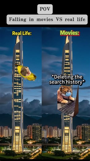 Falling in movies VS real life-Catmeme TV#catmeme #funnycats