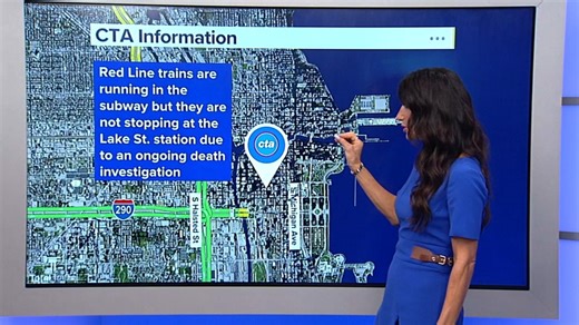 1 dead after going on tracks at CTA Red Line station in Loop, Chicago police say