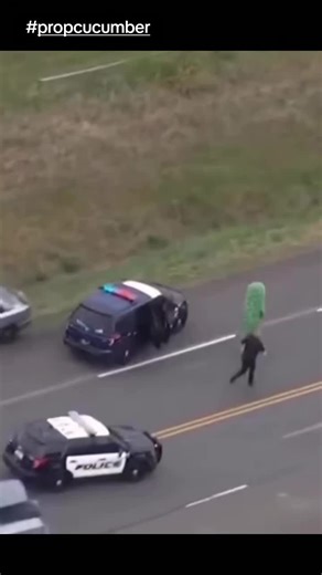 Cucumber Chase: A Fun and Engaging Race