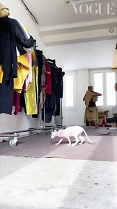 "Inside The Wardrobe with #MicheleLamy" via vogue.co.uk, 2020 Michèle Lamy’s wardrobe is captivating and confrontational in equal measure. The artist and business partner and wife of #RickOwens invited #BritishVogue inside their home to present a unique interpretation of #InsideTheWardrobe. Watch to see Lamy present her five favourite outfits – with commentary from Rick himself – featuring lots of archive Rick Owens and a special cameo from Pixie the cat. | THE DIVINITUS