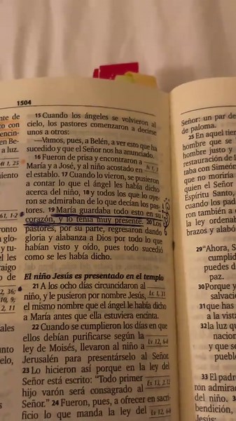San Lucas 2:19: Agradece lo que Dios ha hecho por ti