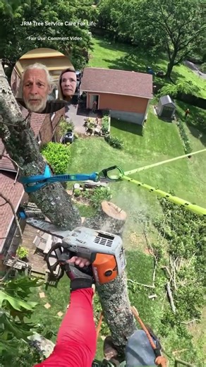 Professional Team of Tree Cutters