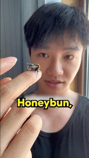 He has a Pet Bumblebee 🐝