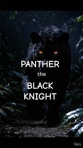 Black Panther Facts That Will Shock You | Wild Cats