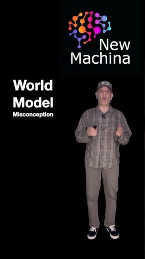 What is the World Model Misconception ?