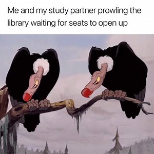 304K views · 2.9K reactions |  | The Tab | Facebook