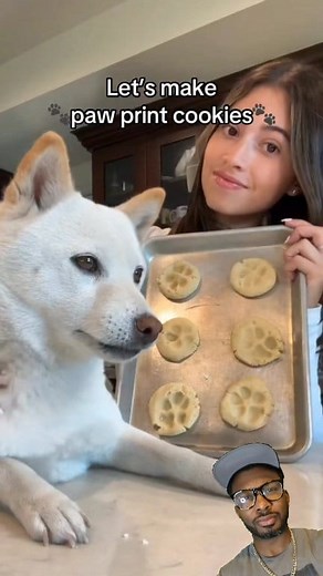 All Natural Paw Print Cookies | Wellington juku