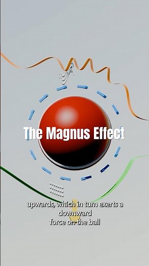 How Spin Changes Everything! | Magnus Effect in Cricket