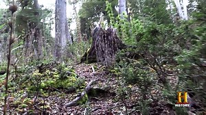 431K views · 2K reactions | 9 participants remain. Faced with the onset of winter in Patagonia, who will adapt the quickest? Alone is all-new Thursday at 9/8c on HISTORY. | Alone on HISTORY | Facebook