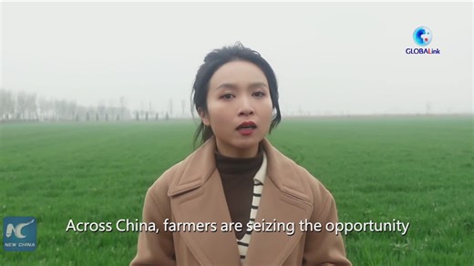 4.2K views · 187 reactions | Now is the time for spring plowing. Farmers across China are seizing the opportunity to make a good start for the year, especially with the help of modern technologies | China Xinhua Sci-Tech | Facebook