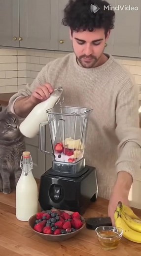 1K views · 11 reactions | “he turned his back for 2 seconds… and the blender started a war ” Hashtags: #funnyvideo #cat #kitchenfail #unexpected #shorts #comedy #viral #petlife #smoothiefail | Qusai Aris | Facebook