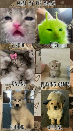 What my pfp means♡ sorry for not posting. #pfp #cute #pfypシ