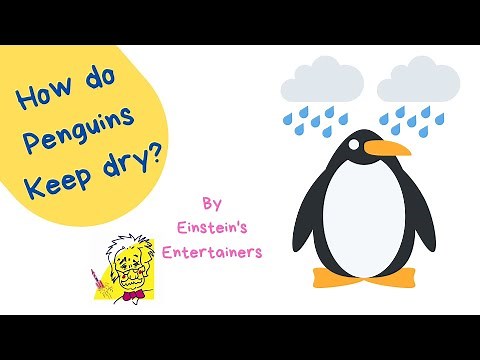 How do Penguins keep dry? Science experiments Einstein's Entertainers