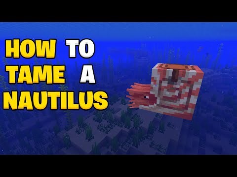 How to tame a nautilus in Minecraft