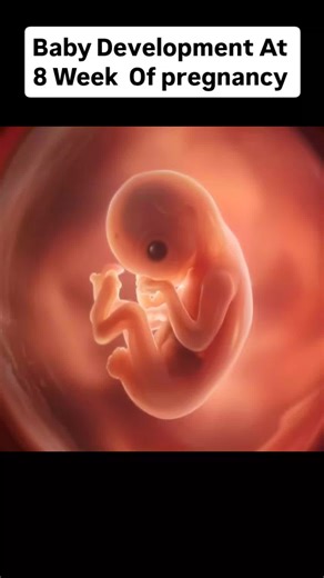 Understanding Baby Development at 8 Weeks of Pregnancy
