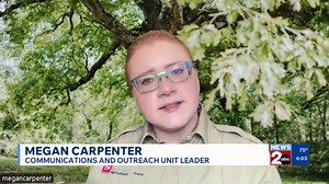 Restoring the tree canopy damaged during January's ice storm