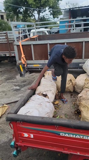 al loco mio no le gusta trabajar pesado