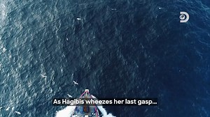 1.9M views · 10K reactions | Despite having to fish during a storm, the crew beat the odds and not only survived, but thrived during such an unfortunate setback. Now that the bounty has been collected, it's a race to deliver the catch, and whoever is the first to do so gets to cash in on big boy dollars! | Discovery Channel Southeast Asia | Facebook