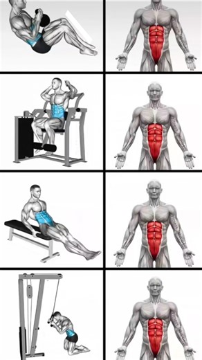 Six Pack Workout #sixpack #sixpackabs #sixpackworkout #absworkout #leanmuscle #abs #bodybuilding