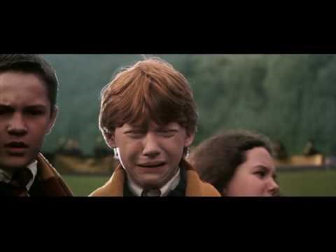 The Evolution of Ron Weasley's Facial Expressions