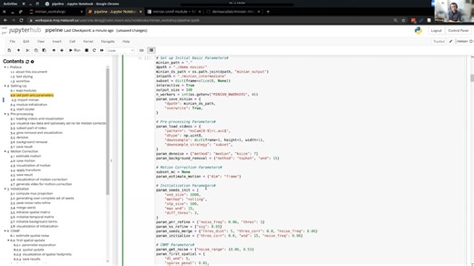 Miniscope数据分析实战入门 | 工作坊Day3第一部分（手把手教程）
