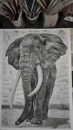 Elephant🐘 Drawing | Realistic Animal Sketch with Pencil #elephantdrawing