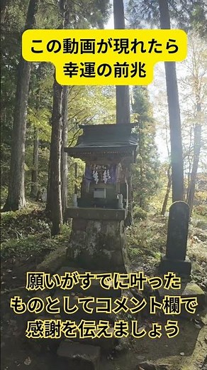 【初級引き寄せ】潜在意識への刷り込み11月19日📃🌿 #引き寄せの法則 #願いが叶う