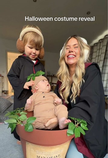 Cómo repotar una mandrágora de Harry Potter