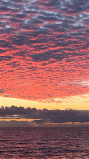 spencer e barbosa✨🦋💕🧸 on Instagram: "BABY I NEED U TO STRUTTTTTTTTT #girls #trend #dating #relationship"