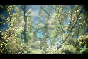 ex4文件的限制破解去除 ea的账号和时间限制破解去除视频