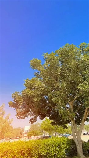 Understanding Relationship Dynamics Through Memes