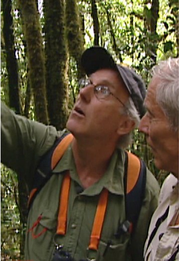 Exploring Indonesia's Untamed Wildlife