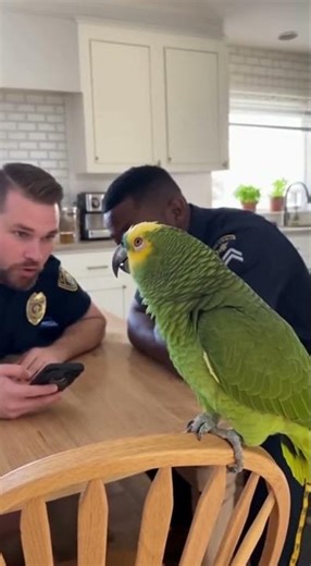 The Ex on Facebook 💔🦜 | “Peace Is More Important Than Notifications