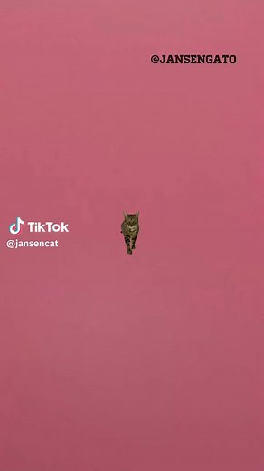 Jajaajajaj bbeee | Lau Carrard