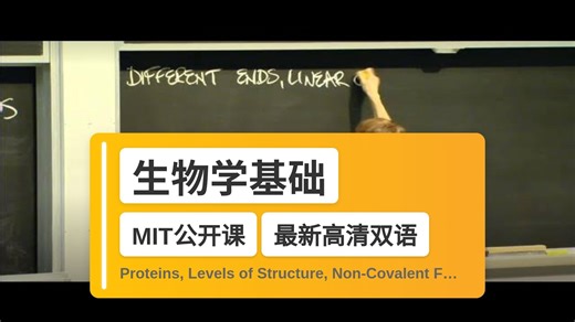 【MIT🔥最新高清双语】生物学基础 Proteins, Levels of Structure, Non-Covalent Forces, Excerpt 1