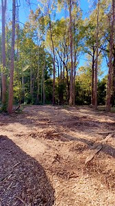 2.3K views · 28 reactions | Another one in the works! Call today for your free estimate! Dale Land Management is putting our touch on this beautiful piece of road frontage! #Godisgoodallthetime #dalelandmanagement #LandClearingExperts | Dale Land Management LLC | Facebook