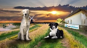 1K views · 20 reactions | Needing a cheesy cheery-up? We're MORE than...