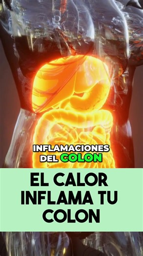 ¡El Calor Inflama Tu Colon! Descubre Cómo Evitarlo #COLON #desintoxicarorganismo #nutricion #saludable #salud #ortomolecular #nutricionortomolecular #vida #vidasana #vidasanayactiva #vidasanaysaludable #vitaminas #minerales #vitaminasyminerales #vitaminasymineralesnaturales #comerico #comesano #comesanoyrico #health #fyp #viral #foryou Para consultas, catálogo de nutrientes y más información, envíanos mensaje directo o en los botones del perfil 💊✨
