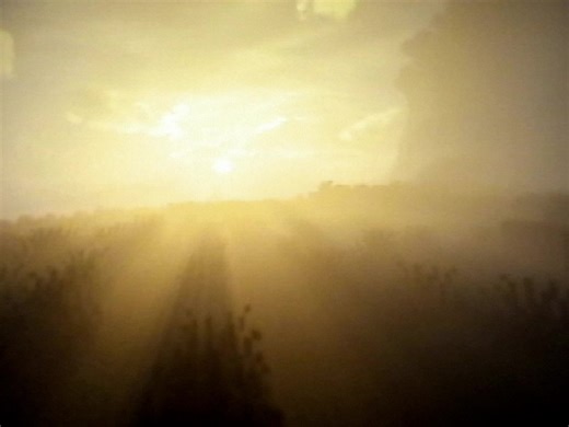 Exploring Nature in Minecraft with VHS Effects