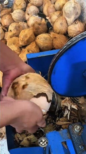 High-Speed Coconut Husk Peeling Machine