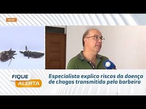 Especialista explica riscos da doença de chagas transmitida pelo barbeiro