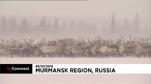 Vídeo. Rusia celebra el Día Internacional del Pueblo Lapón