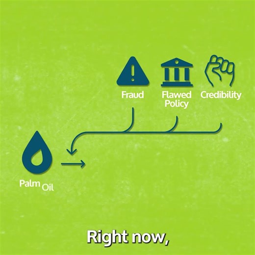 Europe’s Biofuel Blindspot